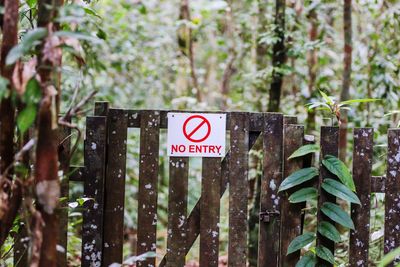 Information sign on road amidst trees in forest