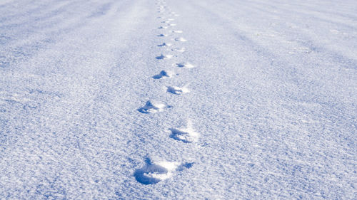 Footprints on snow covered landscape