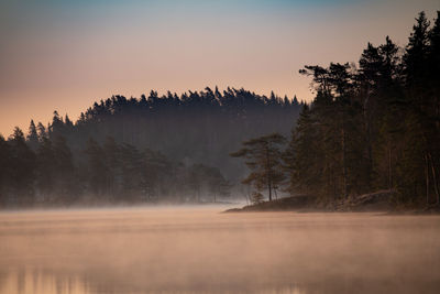 Foggy morning by the lake