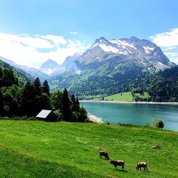 Scenic view of field and mountains against sky