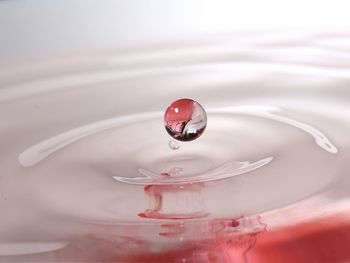 Close-up of falling water drop