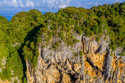 Plants growing on rock against sky