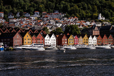 Houses by river against trees