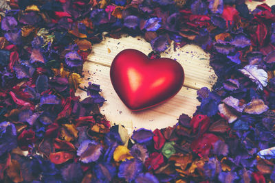 Close-up of heart shape on red leaves