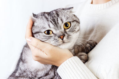 Close-up portrait of kitten on hand