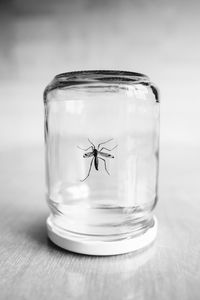 Close-up of glass jar on table