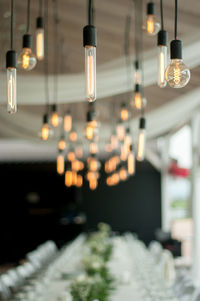 Various decorative light bulbs hanging above the wedding table.