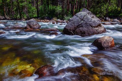 Stream flowing through rocks in forest