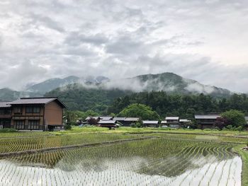 Scenic view of agricultural field by houses against sky