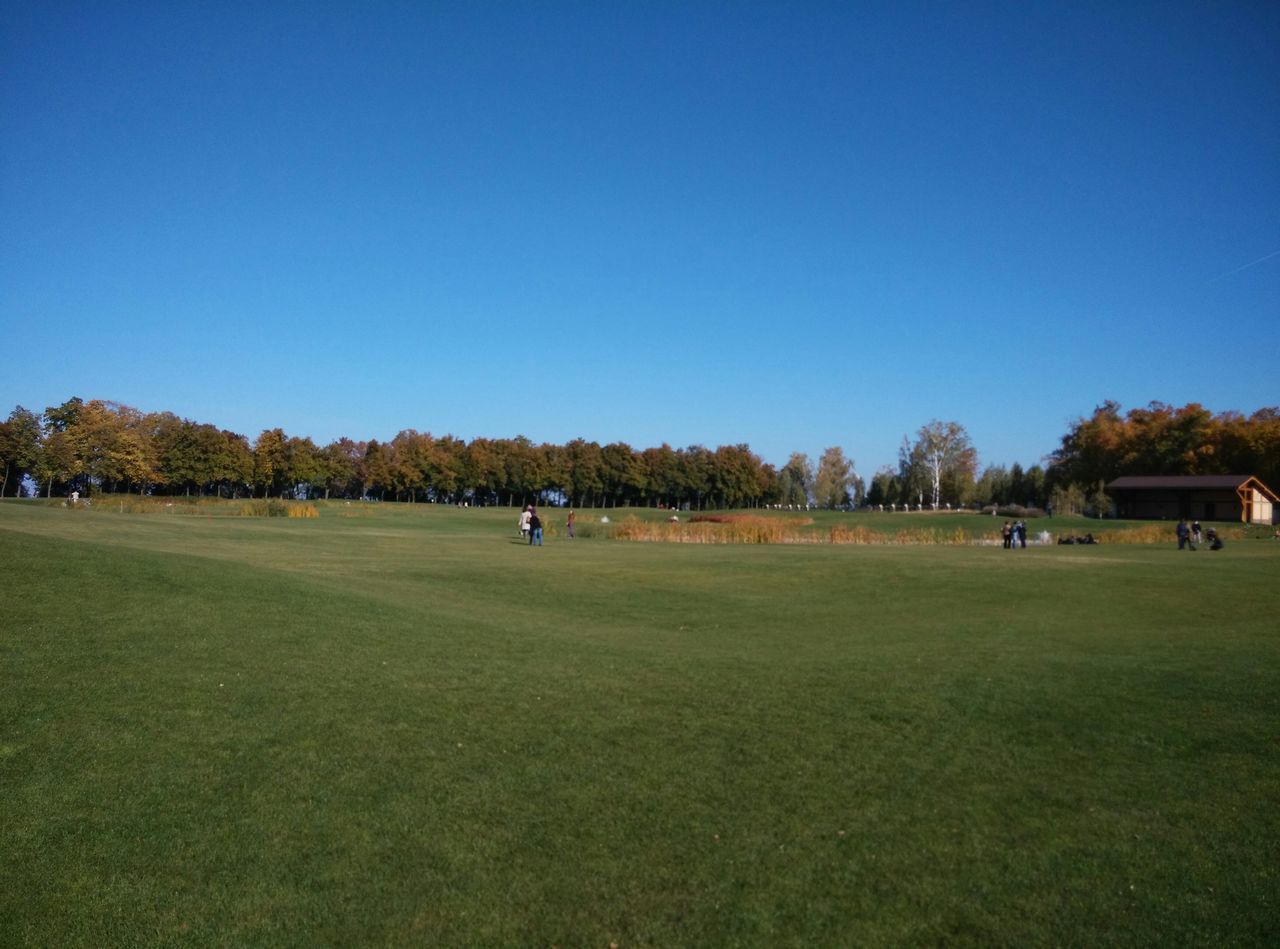 clear sky, grass, copy space, tree, blue, field, landscape, tranquility, tranquil scene, grassy, nature, green color, built structure, building exterior, architecture, scenics, beauty in nature, growth, day, outdoors