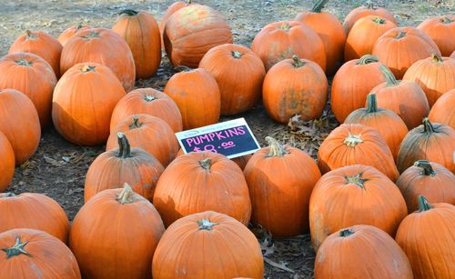 Stack of pumpkins on field