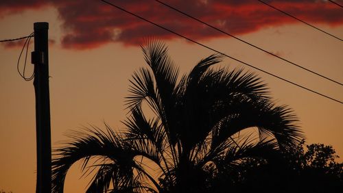 Low angle view of silhouette palm trees against sky