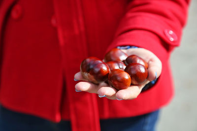 Midsection of woman holding chestnuts outdoors