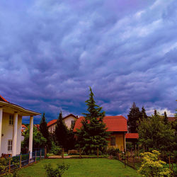 Trees and houses against sky