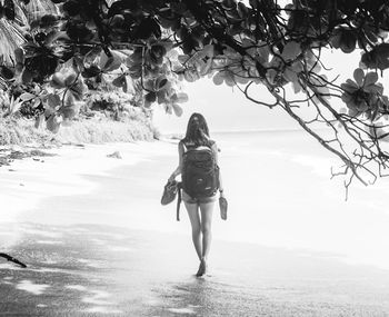 Full length rear view of woman walking on tree