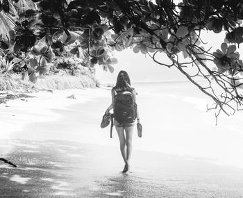 Full length rear view of woman walking on tree