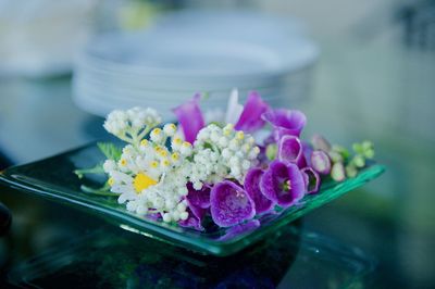 Close-up of flowers against blurred background