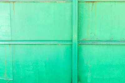 Metal fence painted green background