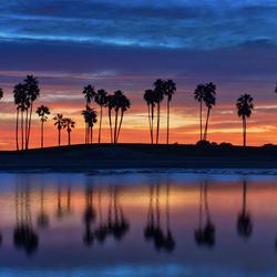 Silhouette palm trees on beach against sky