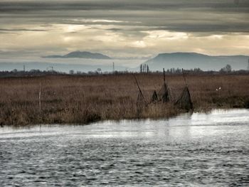tranquil scene