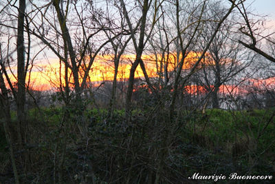 Scenic view of landscape against sky during sunset