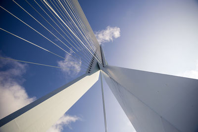 Rotterdam bridge