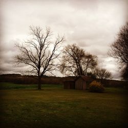 Bare trees on grassy field against cloudy sky