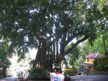 View of tree against building