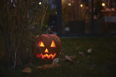 Carved jack-o-lanterns in garden