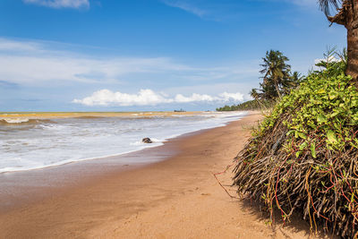 West coast of africa with an empty and beautiful beach located outside axim ghana west africa