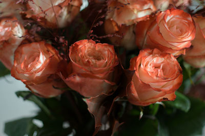 Close-up of rose bouquet