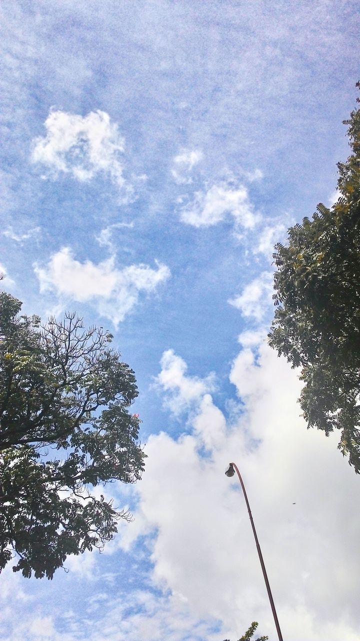 low angle view, sky, tree, cloud - sky, cloudy, nature, cloud, branch, tranquility, beauty in nature, silhouette, high section, growth, street light, day, outdoors, no people, blue, scenics, treetop