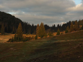 Scenic view of green landscape against cloudy sky