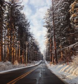 Road amidst trees against sky during winter