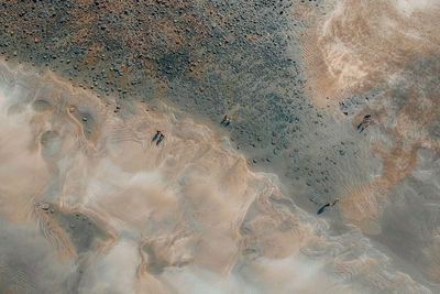 High angle view of birds swimming on beach