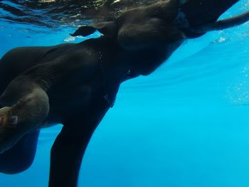 Man swimming in sea