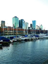 Boats moored in harbor by buildings against clear sky