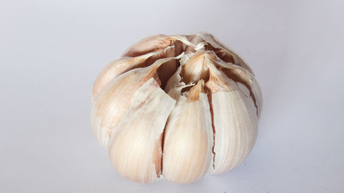 Close-up of garlic on white background