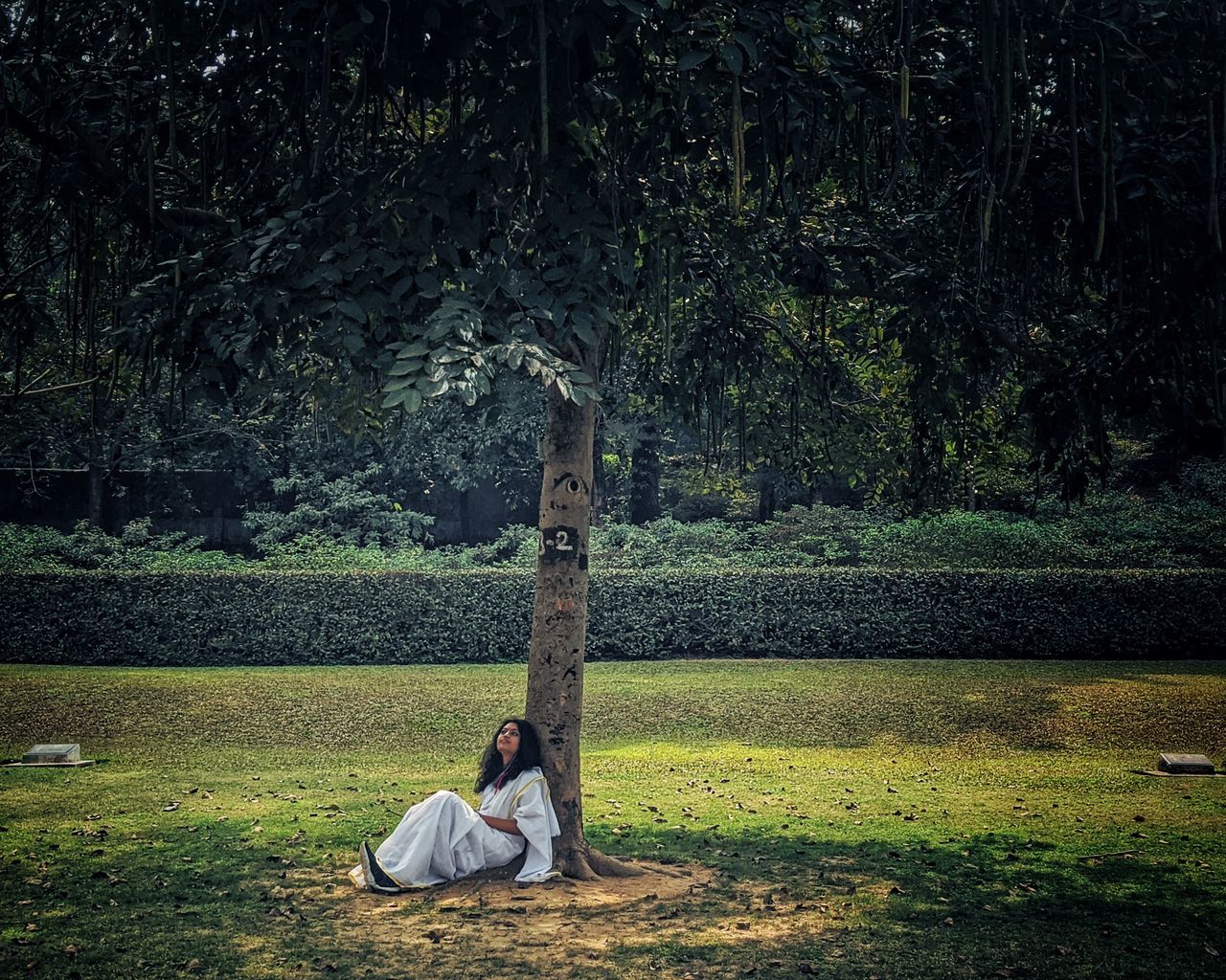 plant, tree, nature, real people, one person, land, sitting, leisure activity, casual clothing, lifestyles, field, growth, full length, day, men, tree trunk, grass, trunk, park, outdoors, human arm