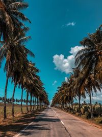 Road by palm trees against sky