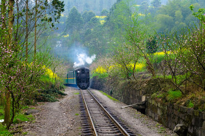 Train on railroad tracks in springtime