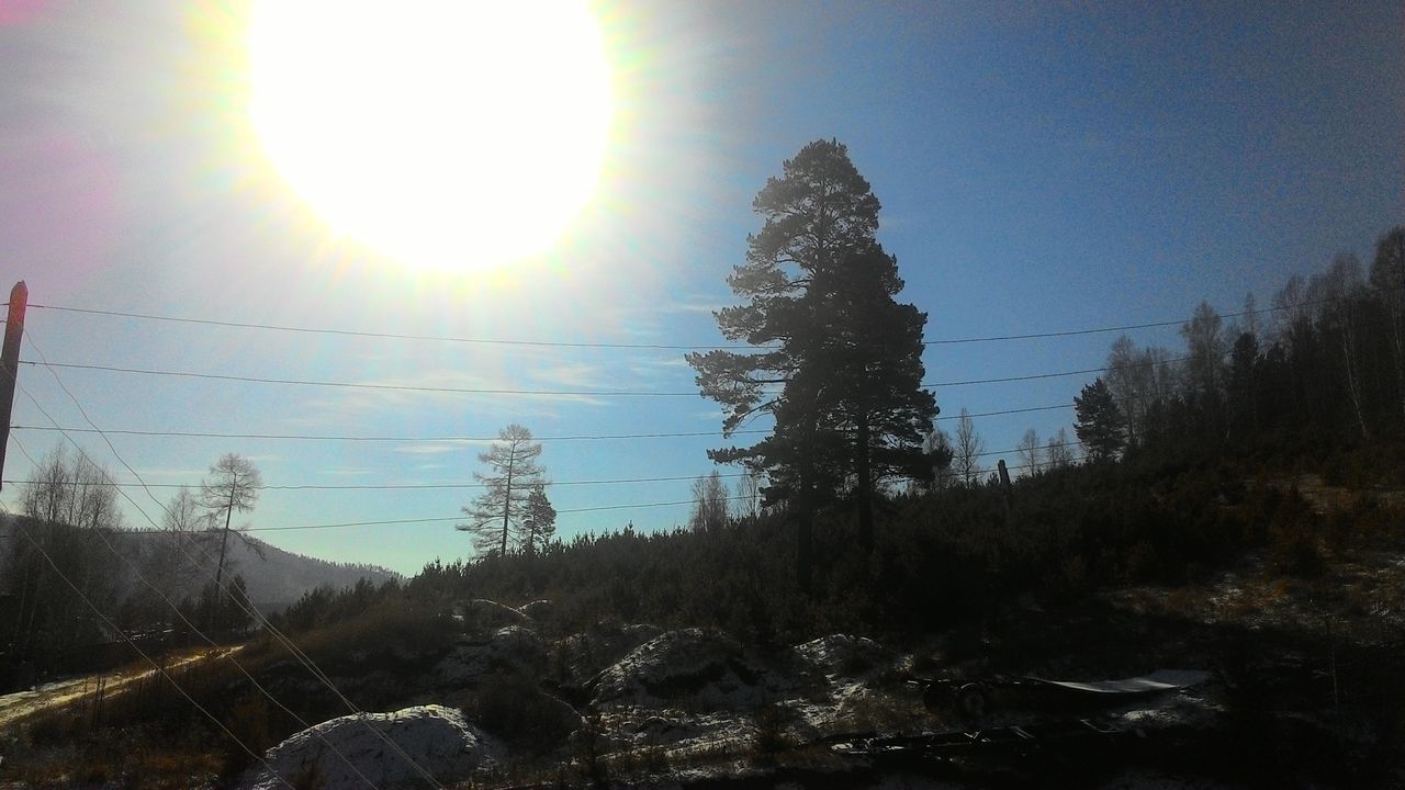 sun, sky, tree, tranquility, nature, lens flare, tranquil scene, bare tree, beauty in nature, scenics, sunlight, sunset, silhouette, winter, season, sunbeam, snow, landscape, power line, weather