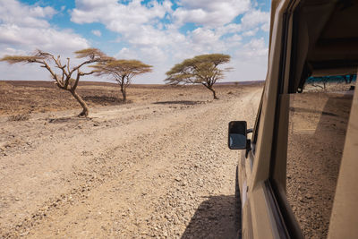 A safari vehicle amidst acacia trees in the desert landscapes of loiyangalani in turkana, kenya