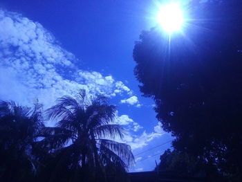 Low angle view of silhouette trees against blue sky on sunny day