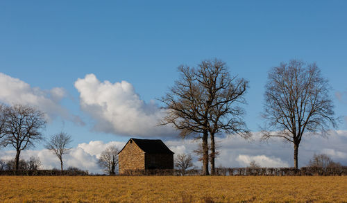 Landscape with old house and trees