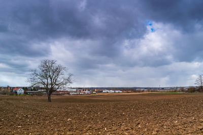 Scenic view of field against sky