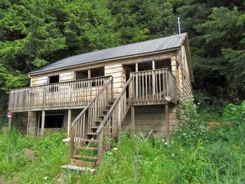 Abandoned house in forest