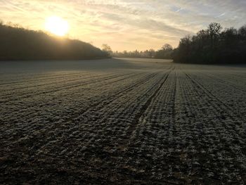 Scenic view of field against sky during sunset