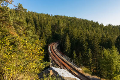 Panoramic shot of railroad tracks amidst trees against sky