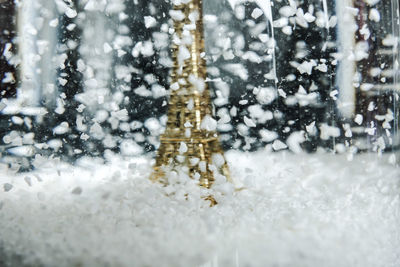 Full frame shot of snow covered tree